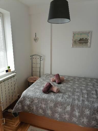 Anka Apartman Apartment Smederevo Luaran gambar